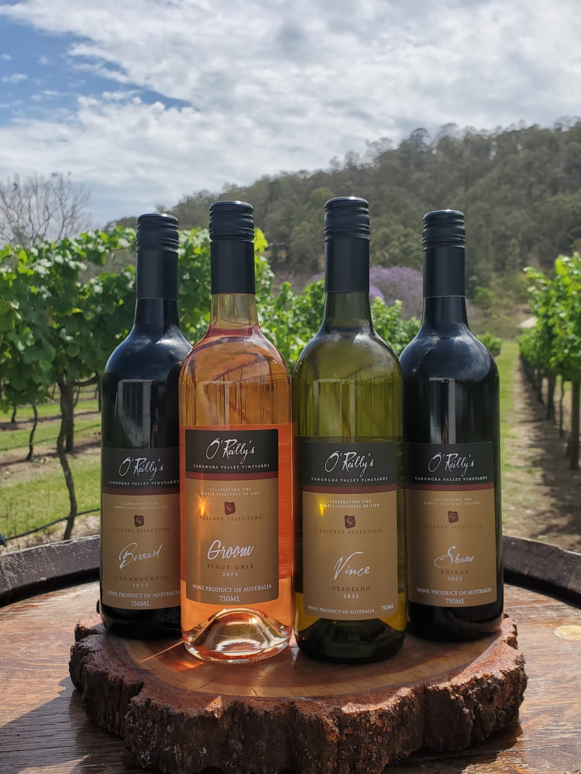 Wine Launch Special – Summer 2023