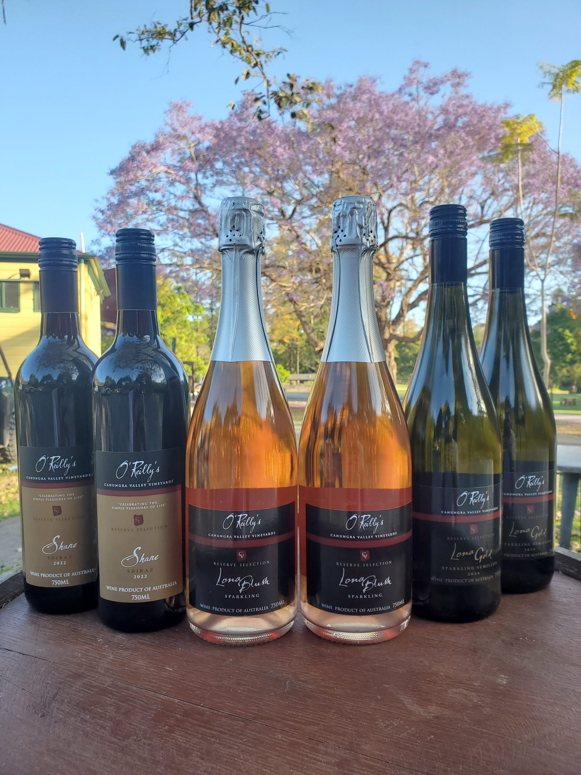 QMF – Wine Special