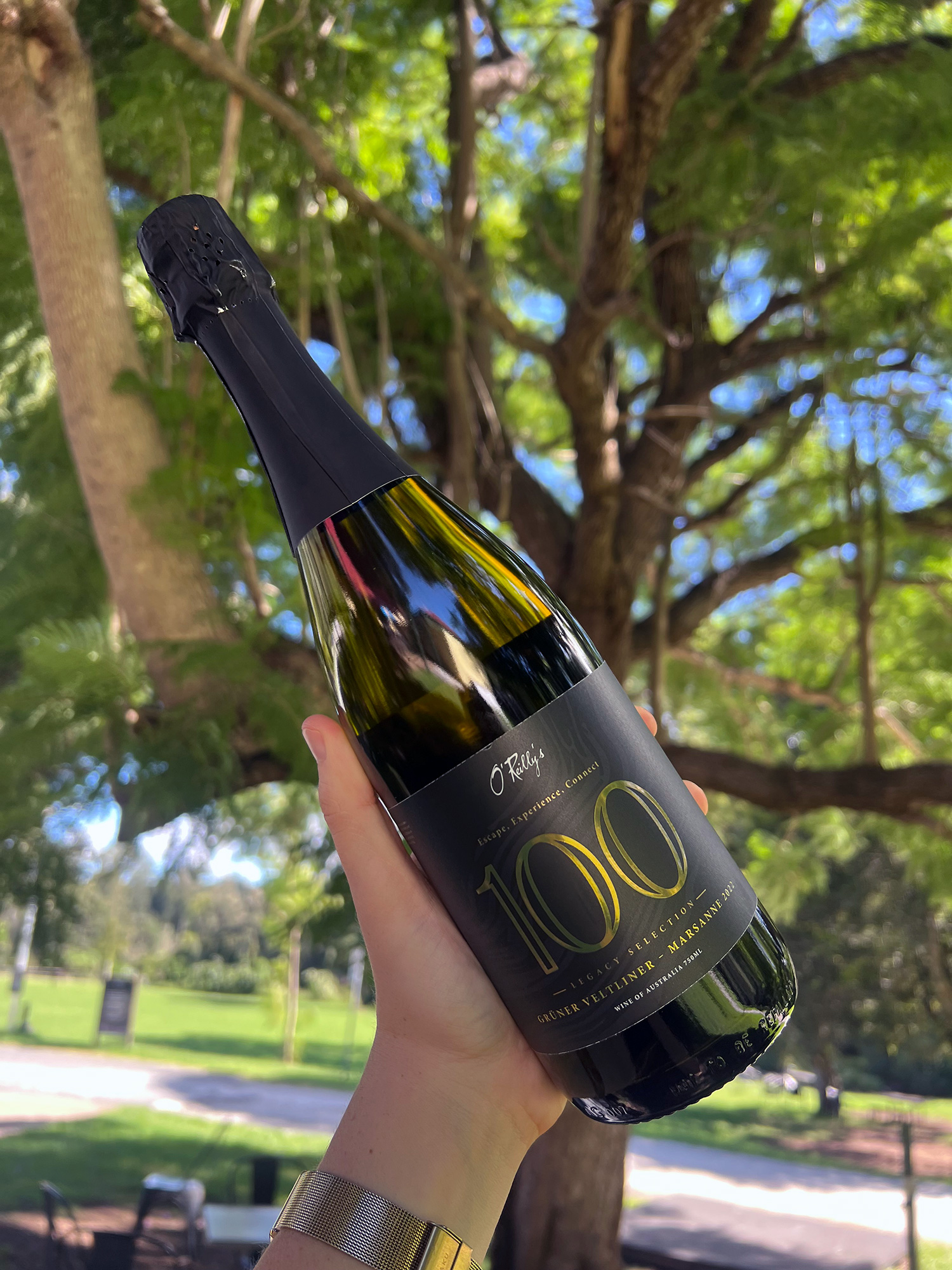 100-Year-Celebration-Sparkling-Grüner-Veltliner-Marsanne-2